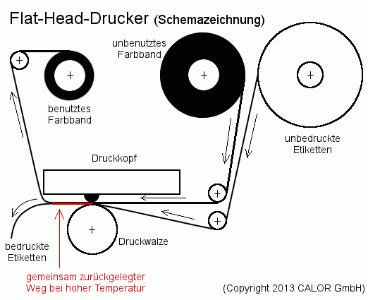 Flat-Head-Drucker mit Thermotransfer-Farbband und Etikettenrolle